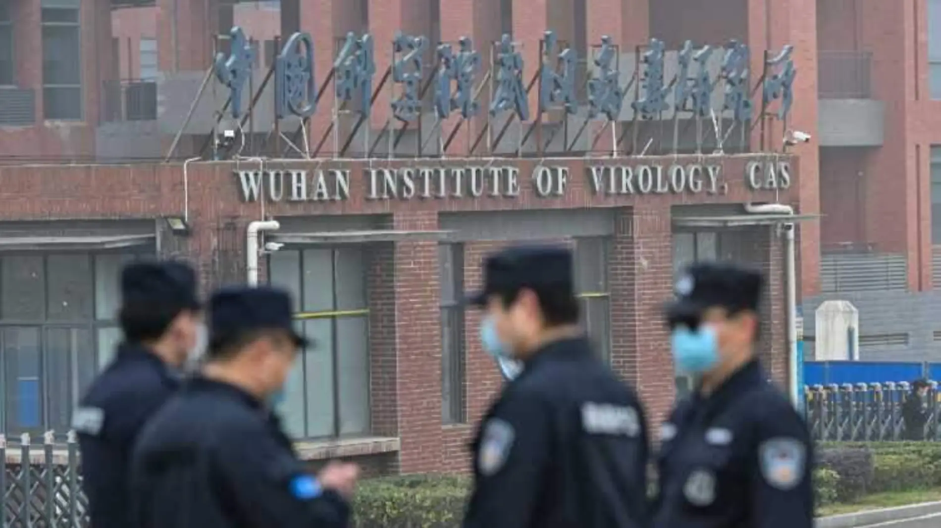 Wuhan China instituto virologia Covid